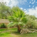 Moraira property: Villa in Alicante 280086