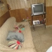 Alcala La Real property: 3 bedroom Townhome in Alcala La Real, Spain 280444