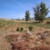 Mures property: Jaen Farmhouse, Spain 280497
