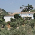 Algarinejo property: Farmhouse for sale in Algarinejo 280499