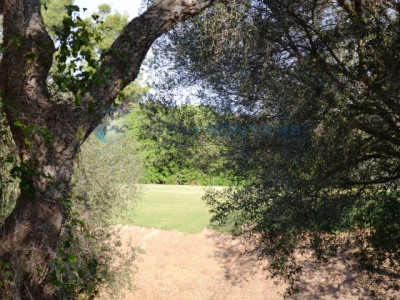 Sotogrande property: Land for sale in Sotogrande, Cadiz 280533