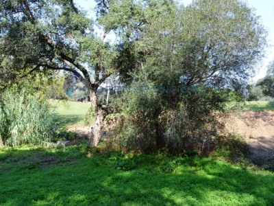 Sotogrande property: Sotogrande, Spain | Land for sale 280533