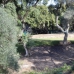 Sotogrande property: Sotogrande, Spain Land 280533