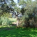 Sotogrande property: Cadiz Land, Spain 280533