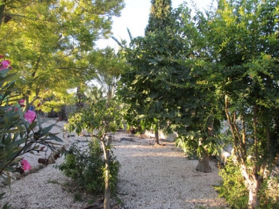 Catral property: Alicante Finca 280538