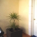 La Murada property: Townhome in La Murada 280549