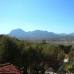 Albir property: Villa in Alicante 280577