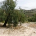 Villanueva De Algaidas property: Malaga Farmhouse, Spain 280642