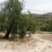 Villanueva De Algaidas property: Malaga Farmhouse, Spain 280642