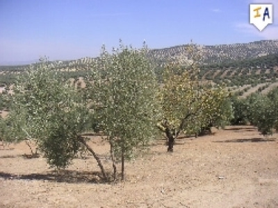 Villanueva De Algaidas property: Land with bedroom in Villanueva De Algaidas, Spain 280653