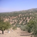Villanueva De Algaidas property: Villanueva De Algaidas, Spain Land 280653