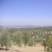 Villanueva De Algaidas property: bedroom Land in Villanueva De Algaidas, Spain 280653