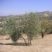 Villanueva De Algaidas property: bedroom Land in Malaga 280653