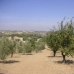 Villanueva De Algaidas property: Land in Malaga 280653