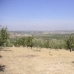 Villanueva De Algaidas property: Land in Villanueva De Algaidas 280653
