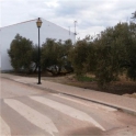 Antequera property: Land for sale in Antequera 280667