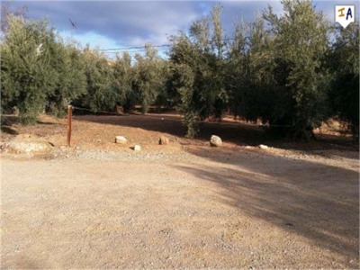 Villanueva De Algaidas property: Land for sale in Villanueva De Algaidas 280668