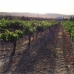 Mollina property: Malaga Land, Spain 280669