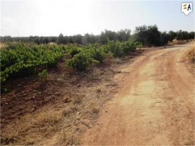 Mollina property: Land with bedroom in Mollina, Spain 280671