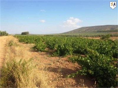 Mollina property: Land in Malaga for sale 280671