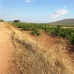 Mollina property: bedroom Land in Mollina, Spain 280671