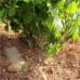 Mollina property: Beautiful Land for sale in Mollina 280671