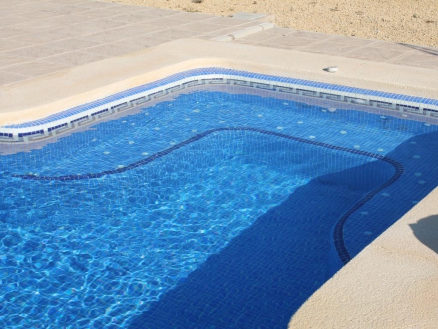 Pinoso property: Villa for sale in Pinoso, Alicante 280701