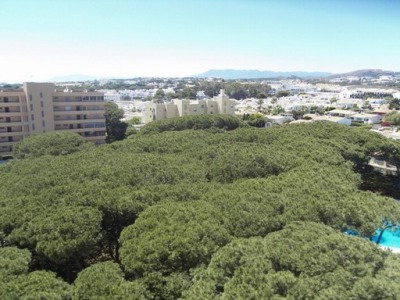 Calypso property: Apartment with 1 bedroom in Calypso, Spain 280996