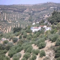 Algarinejo property: Farmhouse for sale in Algarinejo 281098