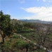 Villanueva De La Concepcion property: Beautiful Villa for sale in Villanueva De La Concepcion 281116