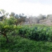 Villanueva De La Concepcion property: Beautiful Villa for sale in Malaga 281116