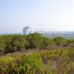 Sotogrande property: Sotogrande, Spain Land 281190