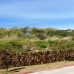 Sotogrande property: Sotogrande, Spain Land 281194