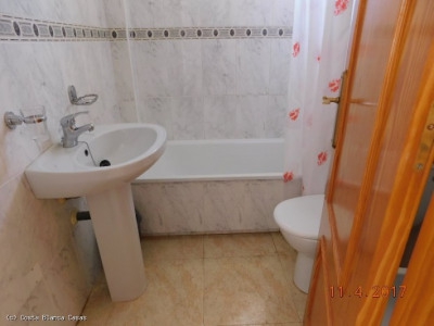 Playa Flamenca property: Playa Flamenca Apartment 281217