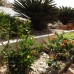 Chiclana De La Frontera property: Beautiful Villa for sale in Cadiz 281348