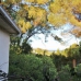 Marbella property: Marbella, Spain Villa 281356