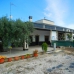 El Realengo property: Alicante, Spain Finca 281439