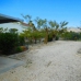 El Realengo property: Finca in Alicante 281439
