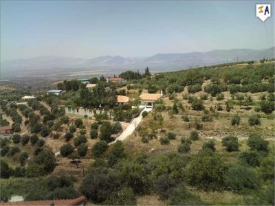 Granada Apartment 281482
