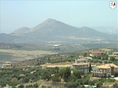 town Apartment 281482
