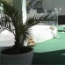 Apartment in town 281482