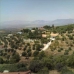 Beautiful Apartment for sale in town 281482