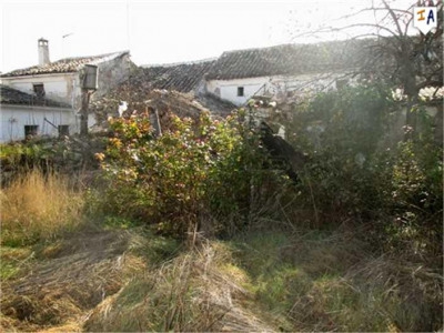 Alcala La Real property: Jaen Townhome 281540