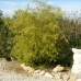 town Villa, Spain 281622
