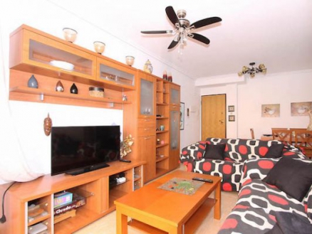  3 bedroom Apartment 281669