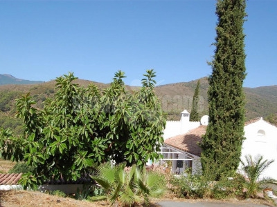 Estepona property: Villa for sale in Estepona 281790