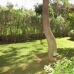 Marbella property: Apartment in Malaga 281883