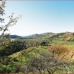 Monda property: Monda, Spain Finca 281900