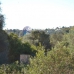 Sotogrande property: Sotogrande, Spain Land 282193