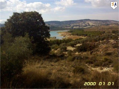 Arenas Del Rey property: Land for sale in Arenas Del Rey 282306